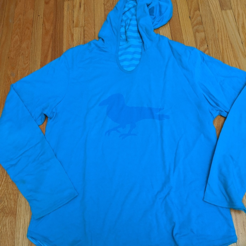 Modern Amusement Hooded Raglan Shirt